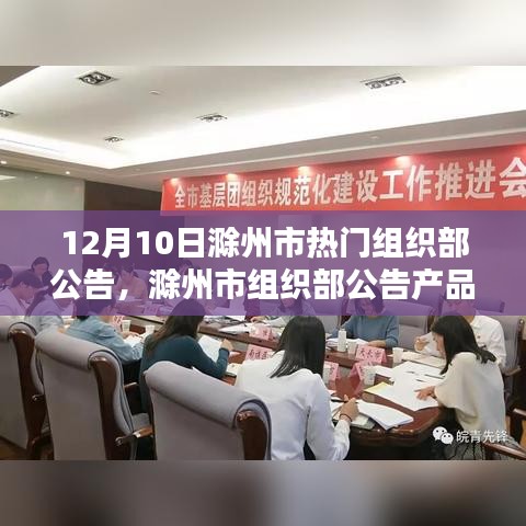 滁州市组织部公告与产品评测报告发布