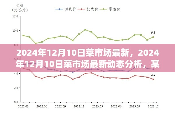 2024年12月10日菜市场最新动态分析，深度探讨市场趋势与某某观点