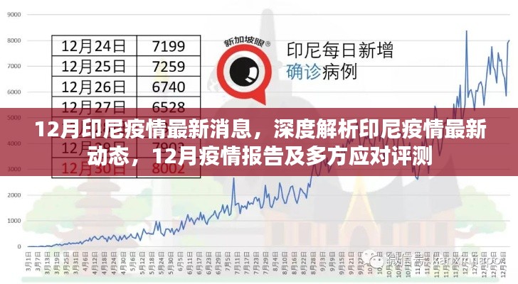 深度解析印尼疫情最新动态，12月疫情报告及多方应对评测