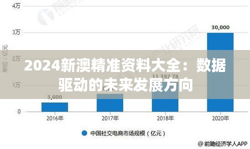 2024新澳精准资料大全：数据驱动的未来发展方向