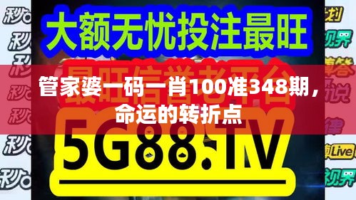 管家婆一码一肖100准348期，命运的转折点