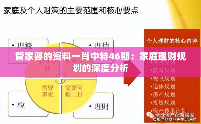 管家婆的资料一肖中特46期：家庭理财规划的深度分析