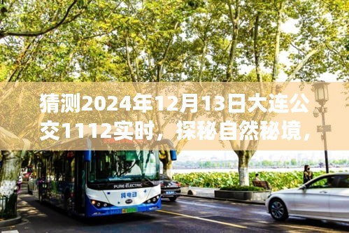 探秘自然秘境，预见大连公交1112线路的奇妙旅程（实时更新，2024年12月13日）