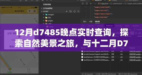 探索自然美景之旅，十二月D7485晚点的奇妙邂逅与实时查询之旅