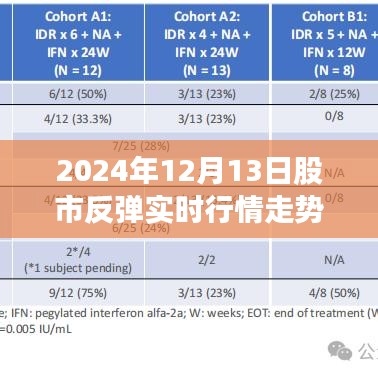 独家解读，2024年股市反弹行情走势全面分析，实时行情预测与解读