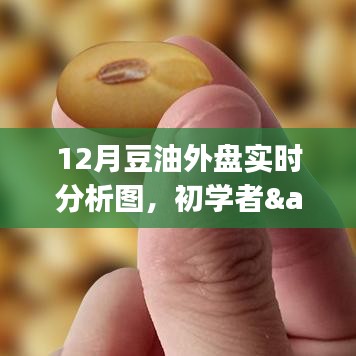 12月豆油外盘实时分析图详解与操作指南，适合初学者与进阶用户参考