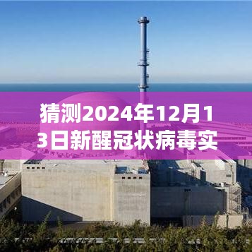 建议，预测未来，2024年12月新醒冠状病毒实时动态分析