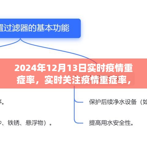 2024年12月13日疫情重症率深度解析，共同关注，守护健康防线