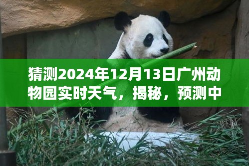 揭秘广州动物园未来天气，温馨时光下的预测与体验（2024年12月13日）