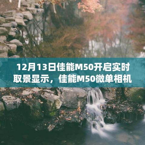 佳能M50微单相机实时取景功能评测，12月新焦点开启深度体验