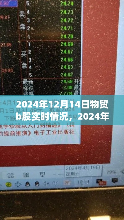 掌握物贸投资技巧，深度解析物贸B股实时情况（2024年12月14日）