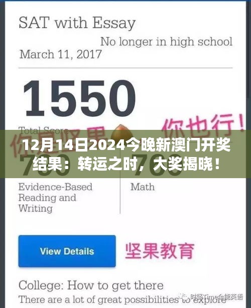 12月14日2024今晚新澳门开奖结果：转运之时，大奖揭晓！