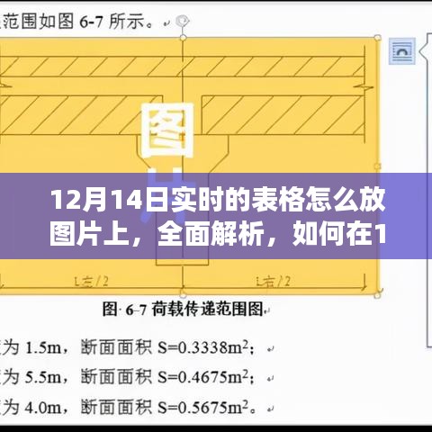 12月14日实时表格图片嵌入指南，特性、体验、竞品对比及用户群体分析全解析