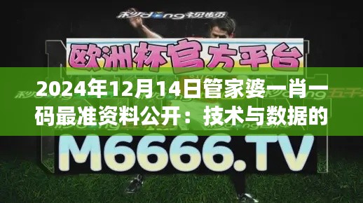 2024年12月14日管家婆一肖一码最准资料公开：技术与数据的完美结合