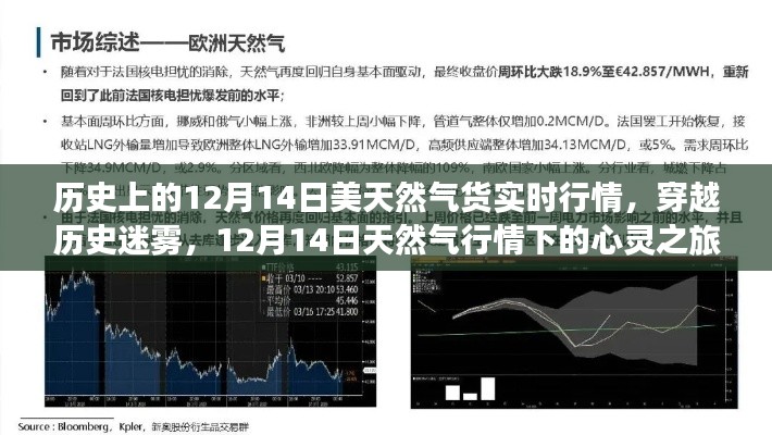 2024年12月14日 第5页