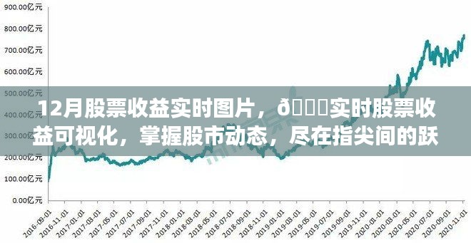 实时股票收益可视化，掌握股市动态，尽在指尖跃动图片报告