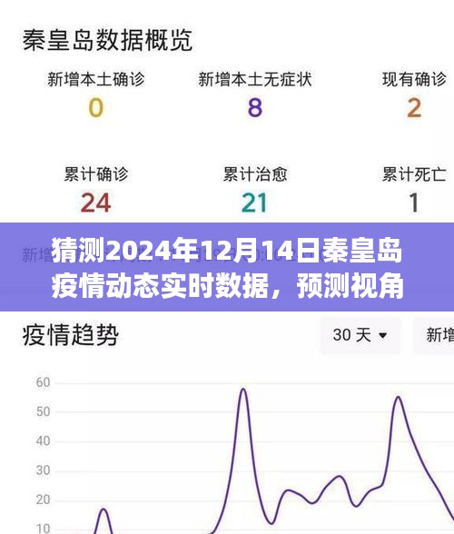 秦皇岛疫情动态预测，展望与解读（以2024年12月为例）