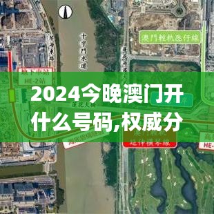 2024今晚澳门开什么号码,权威分析说明_经典版8.655