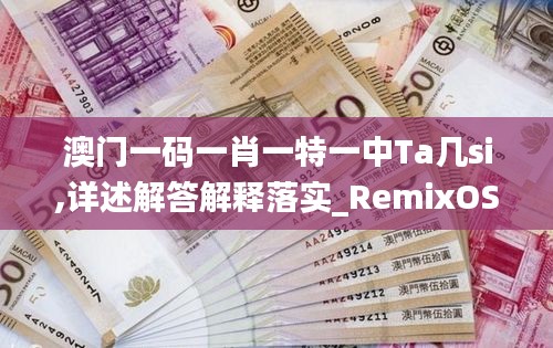 澳门一码一肖一特一中Ta几si,详述解答解释落实_RemixOS2.348