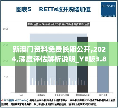 新澳门资料免费长期公开,2024,深度评估解析说明_YE版3.801