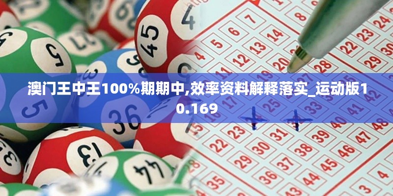 澳门王中王100%期期中,效率资料解释落实_运动版10.169