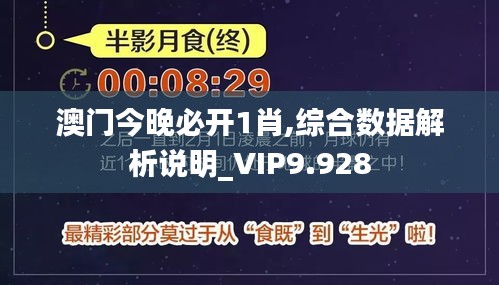 澳门今晚必开1肖,综合数据解析说明_VIP9.928