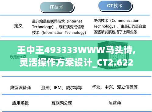 王中王493333WWW马头诗,灵活操作方案设计_CT2.622