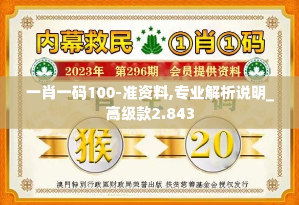 一肖一码100-准资料,专业解析说明_高级款2.843