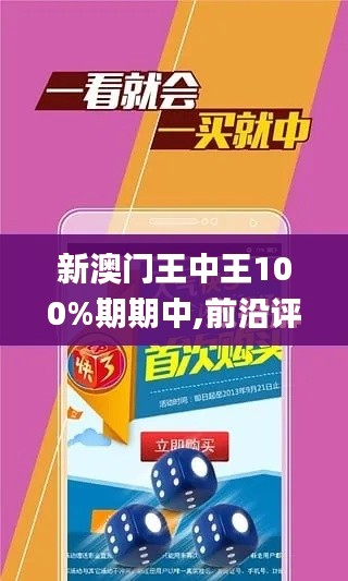 新澳门王中王100%期期中,前沿评估说明_8DM7.127