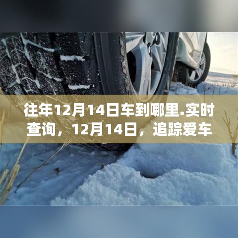 12月14日车辆追踪与友情故事，实时查询爱车之旅，温情相伴的友情时光。