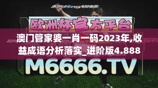 澳门管家婆一肖一码2023年,收益成语分析落实_进阶版4.888