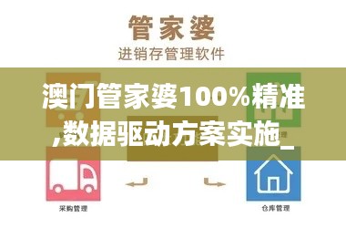 澳门管家婆100%精准,数据驱动方案实施_S2.206