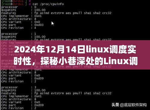 探秘小巷深处的Linux调度实时性科技秘境，一家隐藏式小店的探索之旅