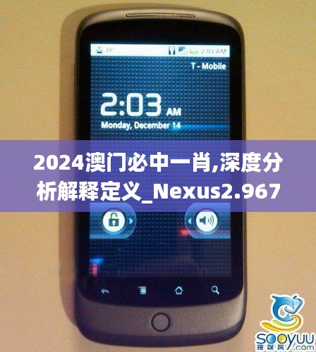 2024澳门必中一肖,深度分析解释定义_Nexus2.967