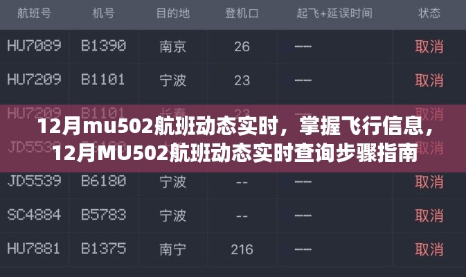 12月MU502航班实时动态查询指南，掌握飞行信息