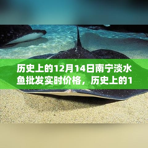 岁月变迁中的南宁淡水鱼市场脉动，历史12月14日批发实时价格回顾