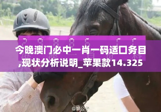 今晚澳门必中一肖一码适囗务目,现状分析说明_苹果款14.325