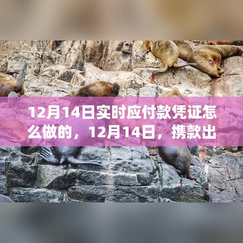 探索实时应付款凭证制作流程，与自然共舞，启程宁静之旅的启程点