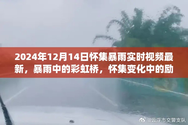 怀集暴雨中的彩虹桥，励志故事与实时视频最新报道