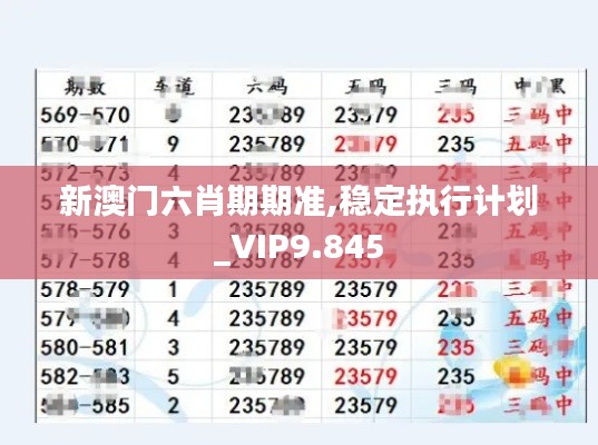 新澳门六肖期期准,稳定执行计划_VIP9.845