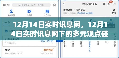 12月14日实时讯息网，多元观点碰撞与个人立场探讨