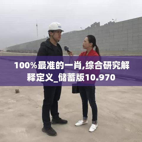 100%最准的一肖,综合研究解释定义_储蓄版10.970