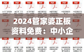 2024管家婆正板资料免费：中小企业财务管理的新福音