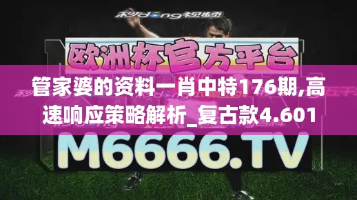 管家婆的资料一肖中特176期,高速响应策略解析_复古款4.601