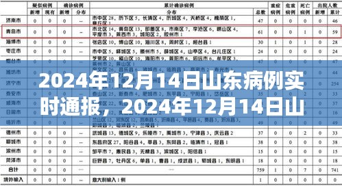 山东疫情最新动态，2024年12月14日病例实时通报及分析