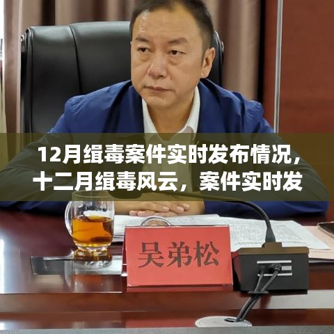 十二月缉毒风云，实时案件发布揭示禁毒斗争深刻影响与地位