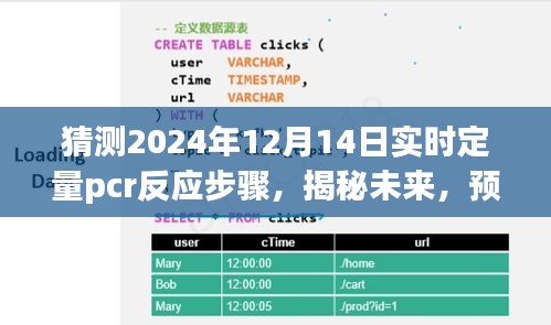 揭秘未来，预测与详解2024年实时定量PCR反应步骤揭秘