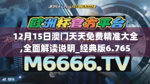 12月15日澳门天天免费精准大全,全面解读说明_经典版6.765