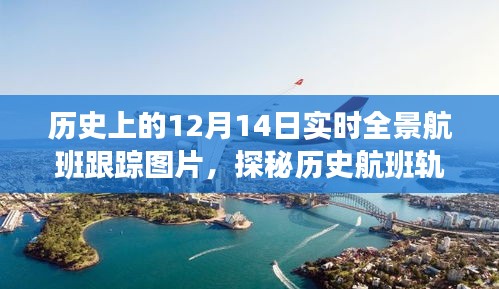 探秘历史航班轨迹，12月14日全景跟踪下的巷子深处独特小店与实时航班图片展示