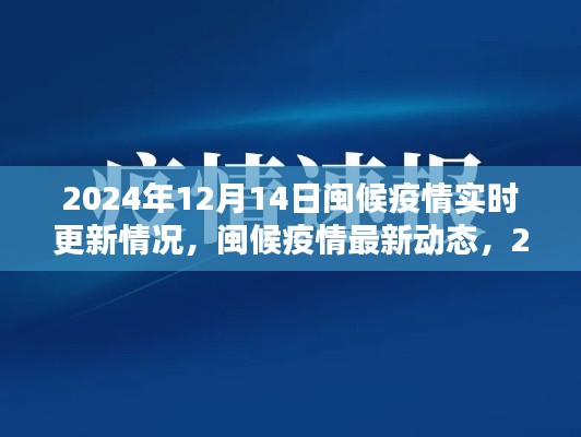 闽候疫情最新动态，2024年12月14日实时更新与详细情况解析